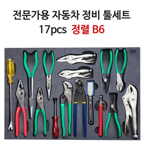 전문가용 자동차정비 공구세트 B6 17pcs (정렬판 포함)